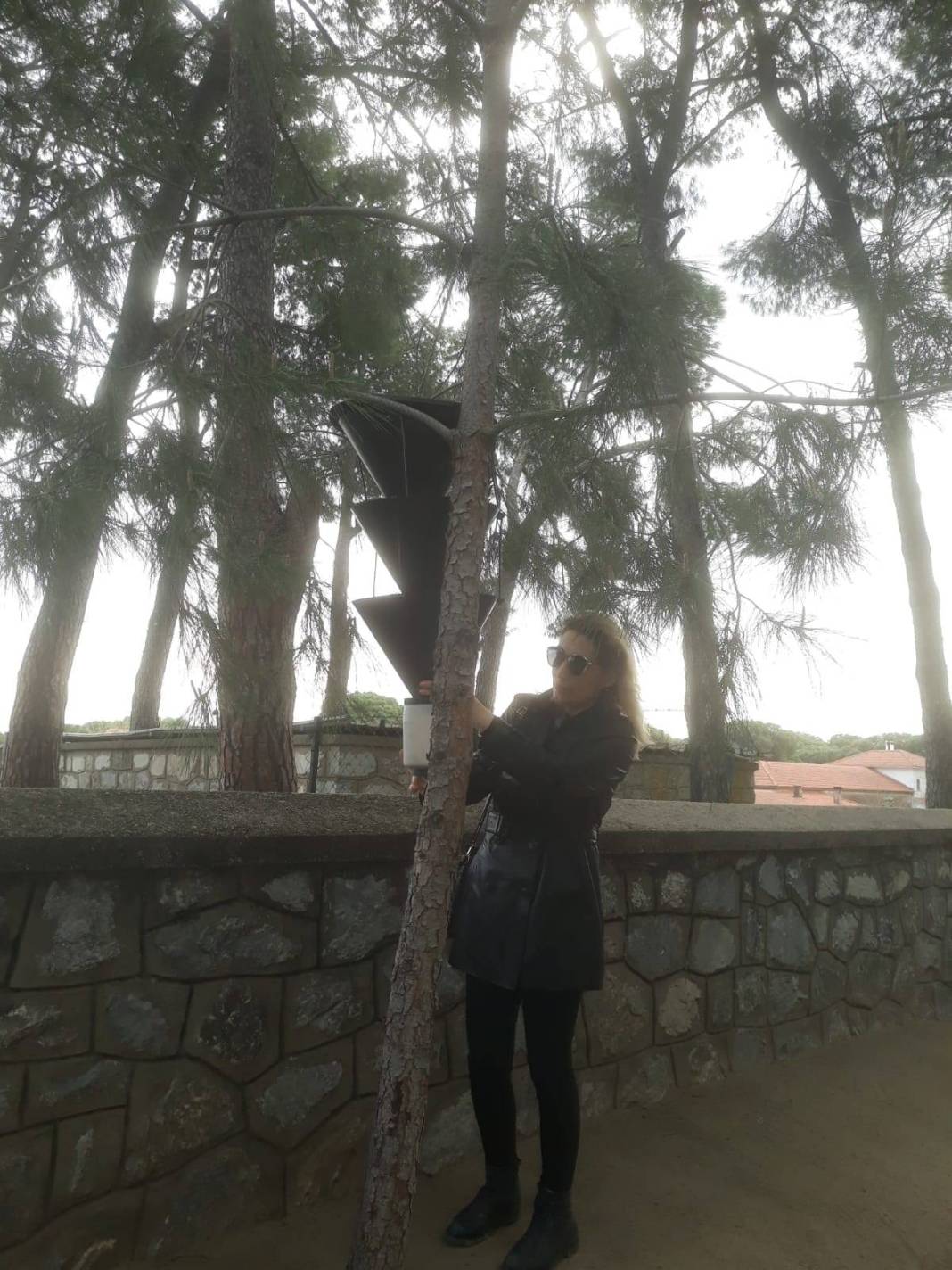 O kentte ağaçlara yerleştirilen cisimler endişelendirdi! Meğer önüne çıkan her şey yıkıp geçiyormuş 1